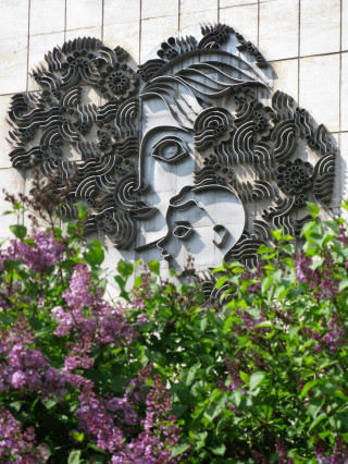 Д-р Гергана Димова