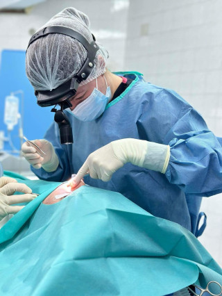 Д-р Полина Иванова, дм