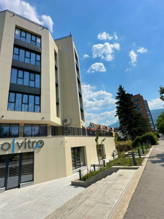 Д-р Александар Цамбулев