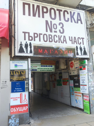 Лидия Нецова
