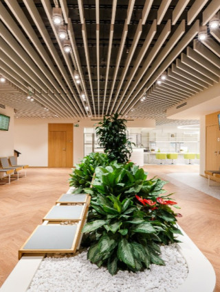 Доц. Ирен Цочева, дм