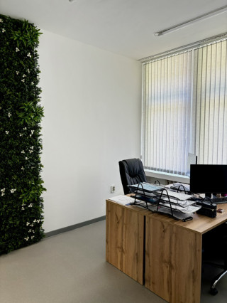 Д-р Ана Георгиева