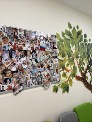 График Спермограма - ДКЦ Вита