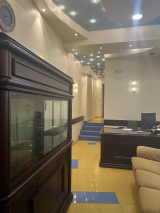 Д-р Владислав Чернишков