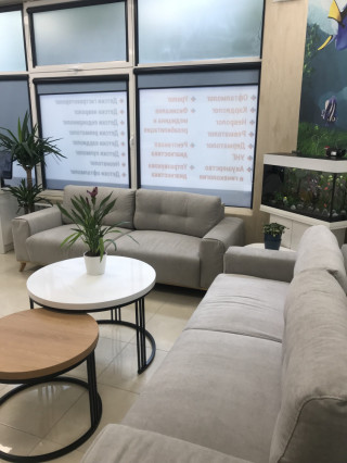 Д-р Васил Павлов, дм