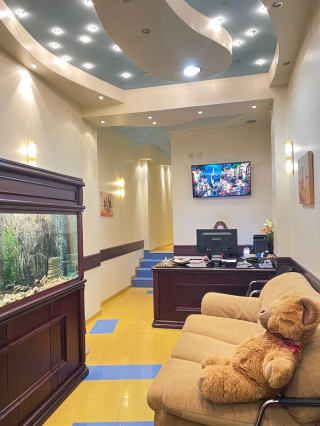 Гастроскопия и ехография, Многопрофилна клиника Медастра