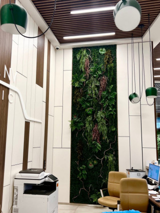 Д-р Асен Асенов