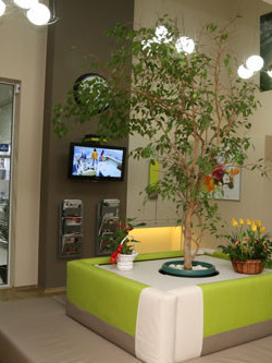 Д-р Камелия Николова